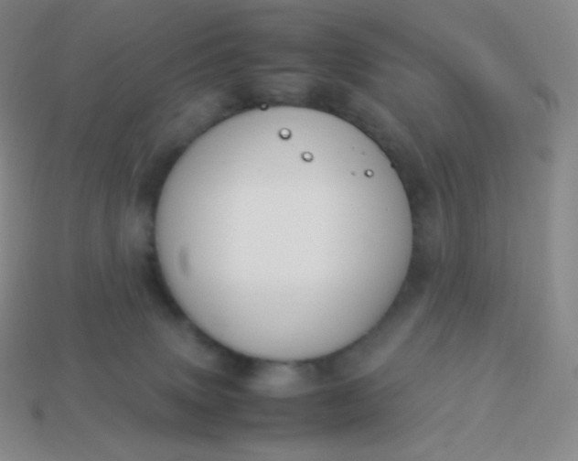 X0000113950083200910091617