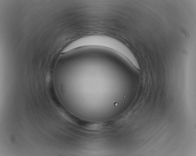X0000113950084200910091617