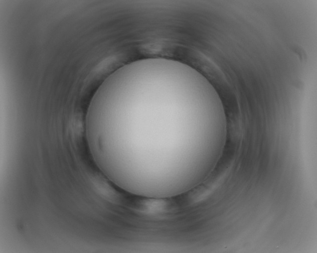 X0000113950085200910091617
