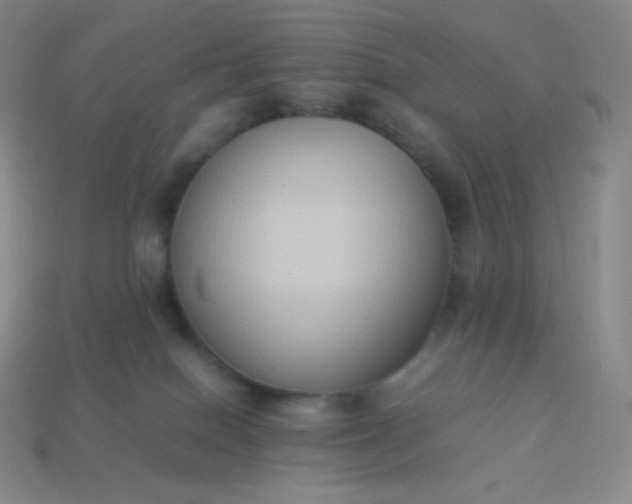 X0000113950086200910091617