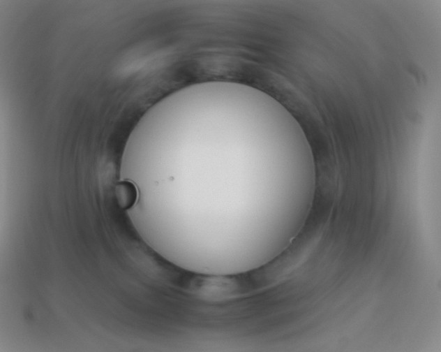 X0000113950087200910091617