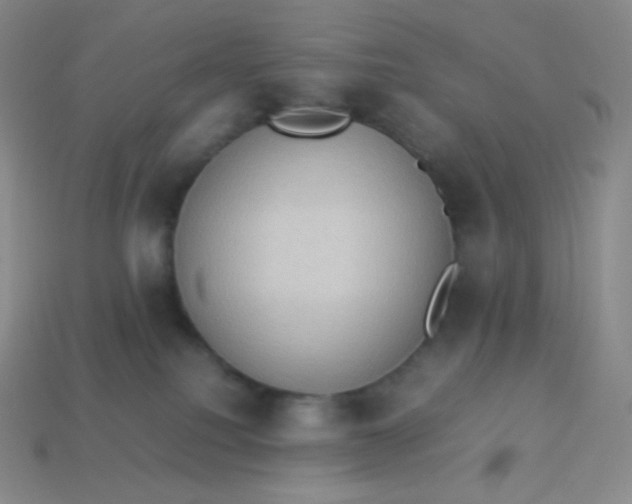 X0000113950088200910091617