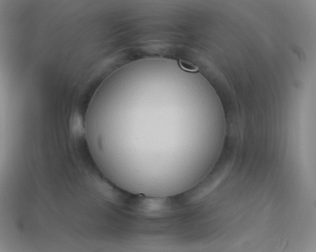 X0000113950089200910091617