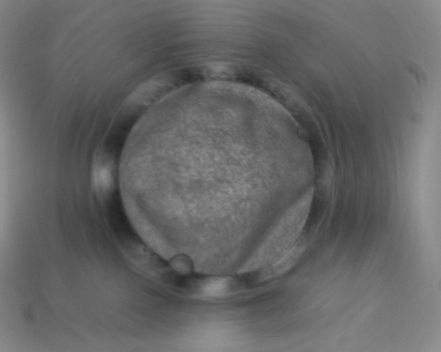 X0000113950090200910091617