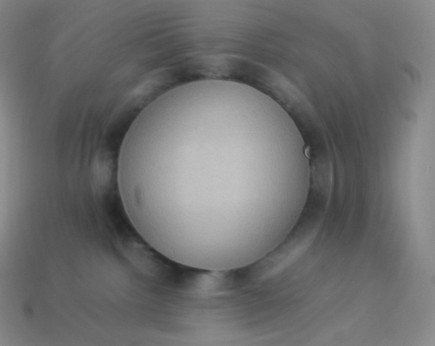 X0000113950092200910091618