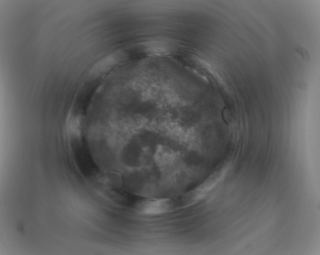 X0000113950093200910091618