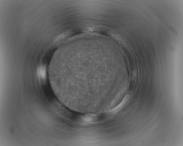 X0000113950094200910091618
