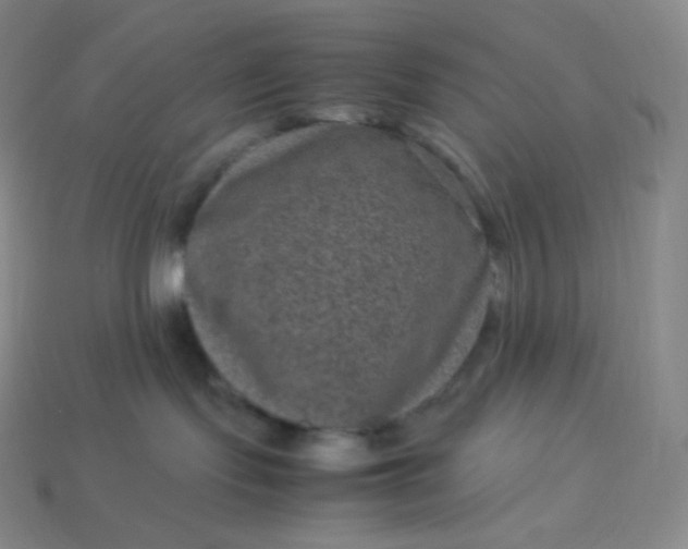 X0000113950095200910091618