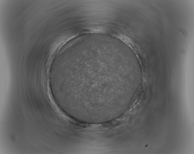 X0000113950097200910091617
