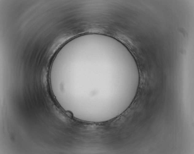 X0000113950098200910091617