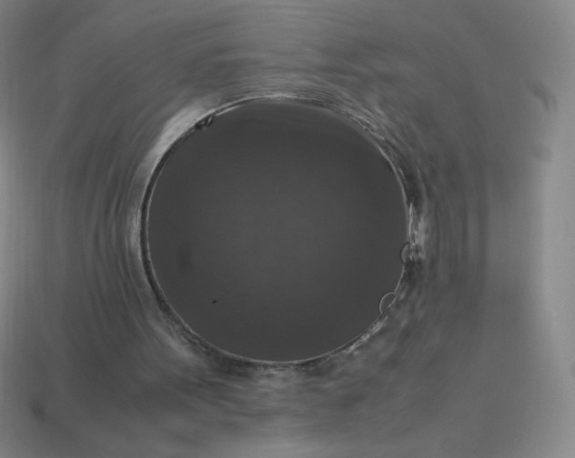 X0000113950099200910091617