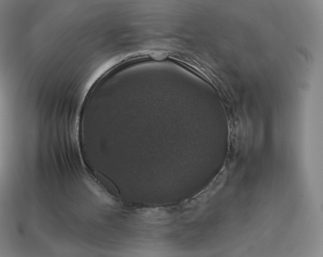 X0000113950100200910091617