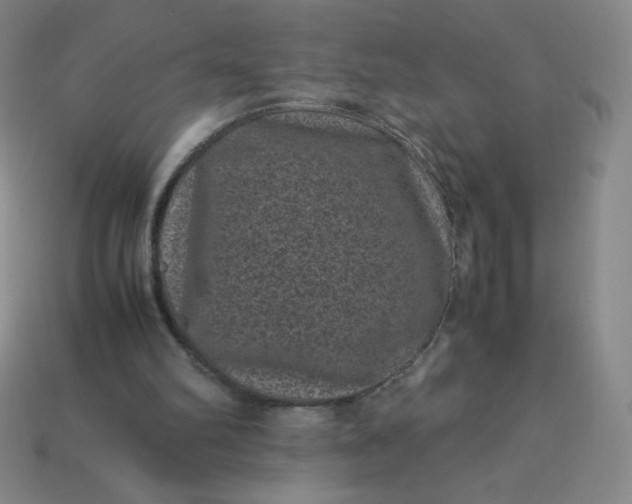 X0000113950102200910091617