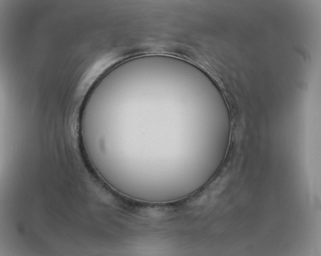 X0000113950103200910091617