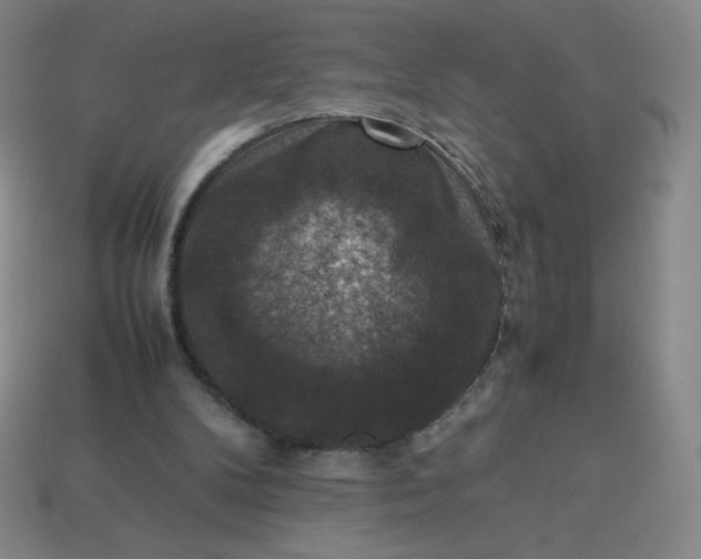 X0000113950104200910091617