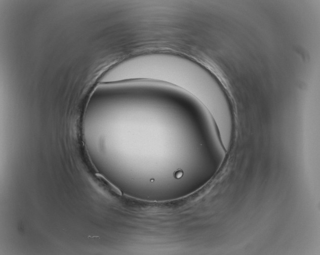 X0000113950105200910091617