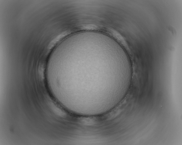 X0000113950106200910091617