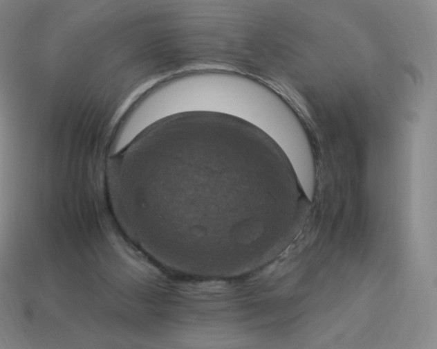 X0000113950108200910091617