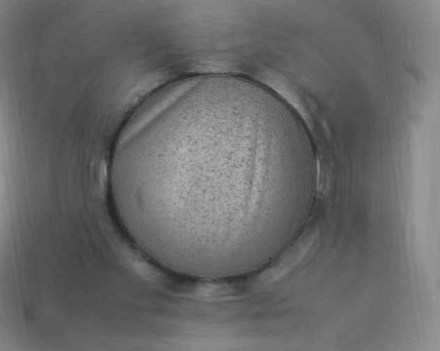 X0000113950109200910091617