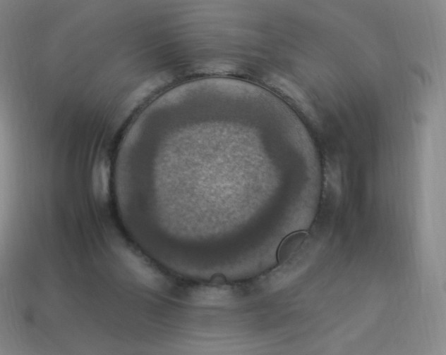 X0000113950110200910091617