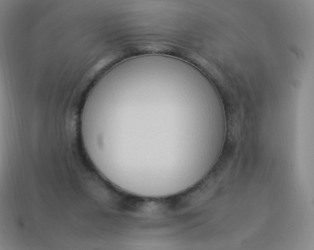 X0000113950111200910091617
