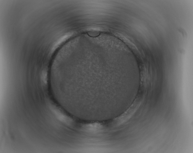 X0000113950112200910091617