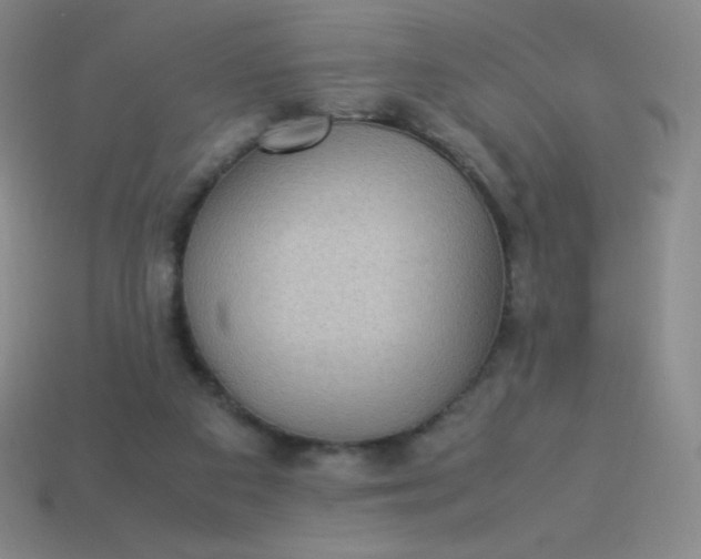 X0000113950113200910091617
