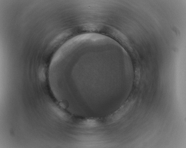 X0000113950114200910091617
