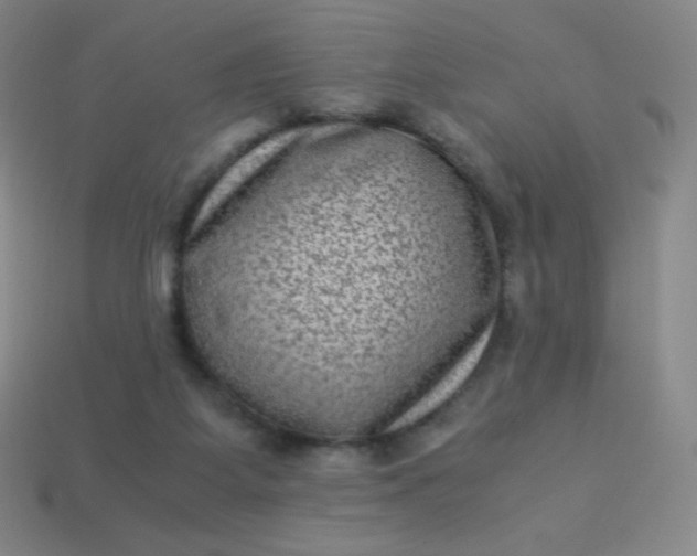 X0000113950115200910091617