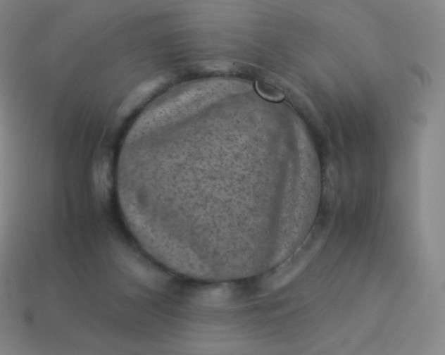 X0000113950116200910091617