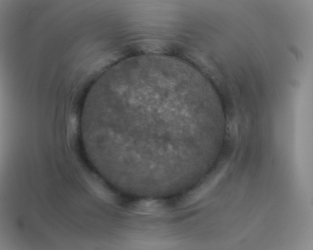X0000113950117200910091617