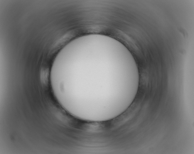 X0000113950118200910091617