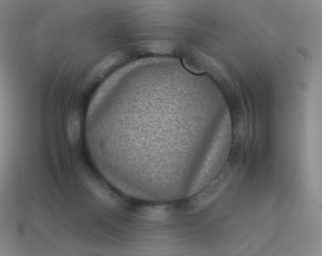 X0000113950120200910091617