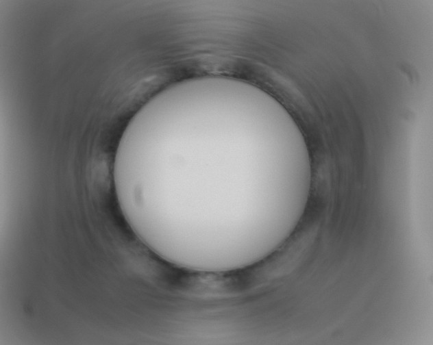 X0000113950121200910091617