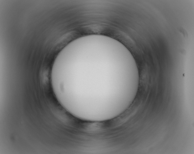 X0000113950122200910091617