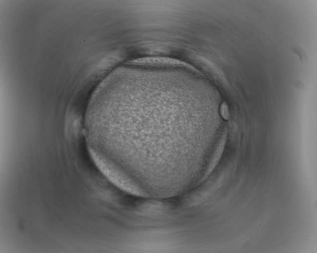X0000113950123200910091617