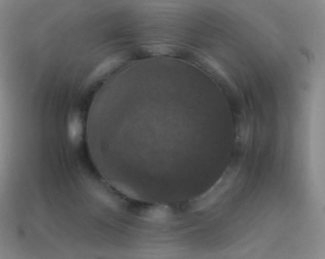 X0000113950124200910091617