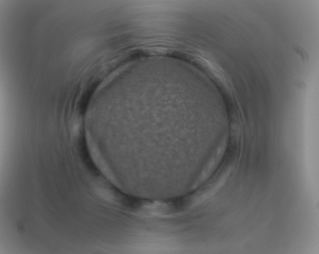 X0000113950125200910091617