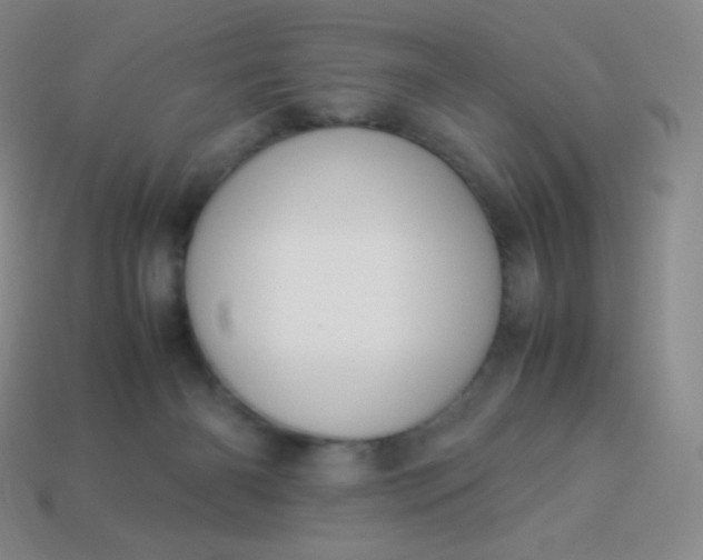 X0000113950126200910091617