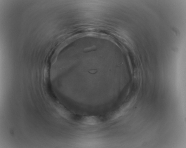X0000113950127200910091617