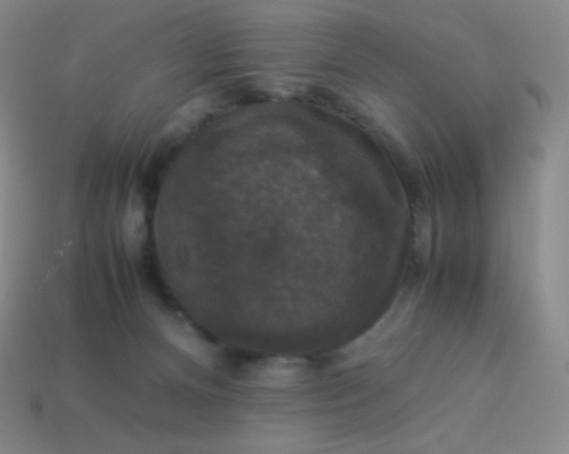 X0000113950128200910091617