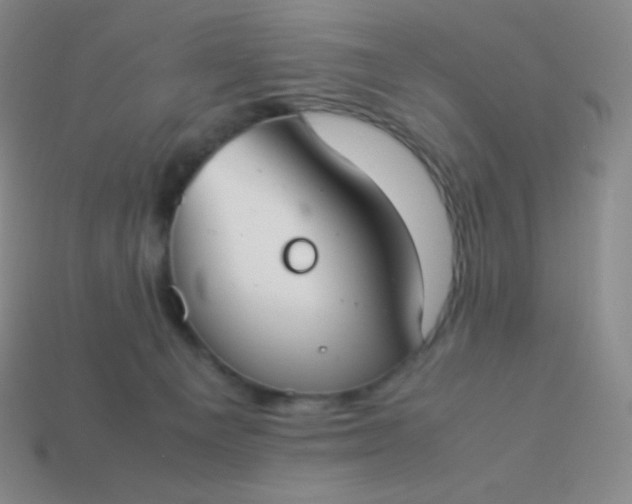 X0000113950129200910091617