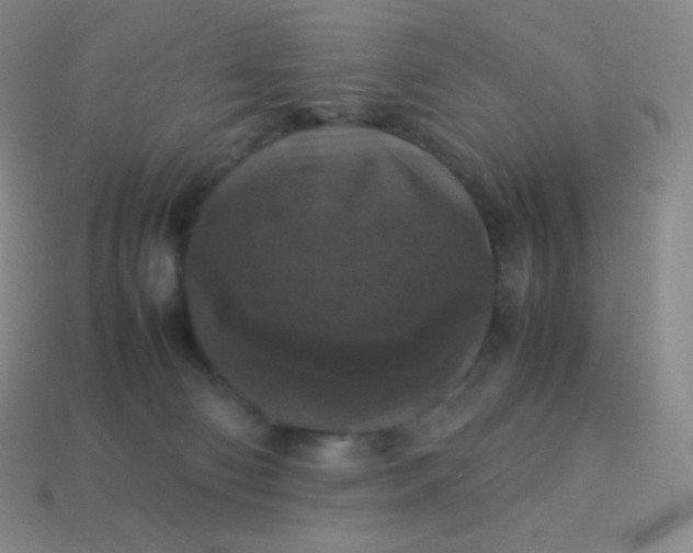 X0000113950130200910091617