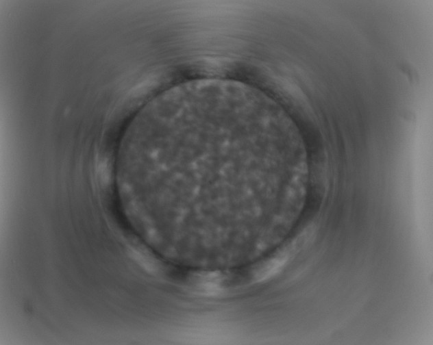 X0000113950131200910091617