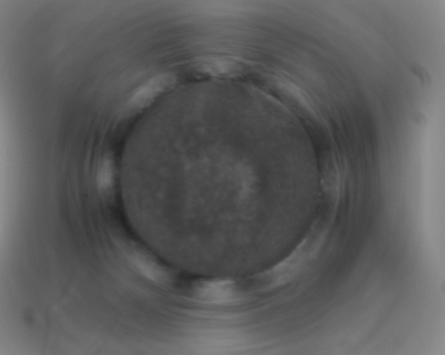X0000113950132200910091616