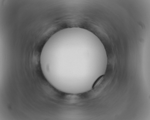 X0000113950133200910091616