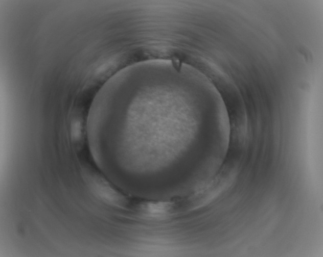 X0000113950134200910091616