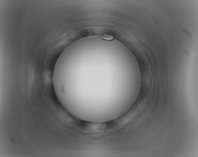 X0000113950135200910091616