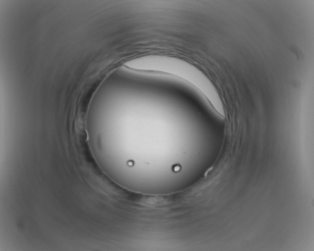 X0000113950137200910091616