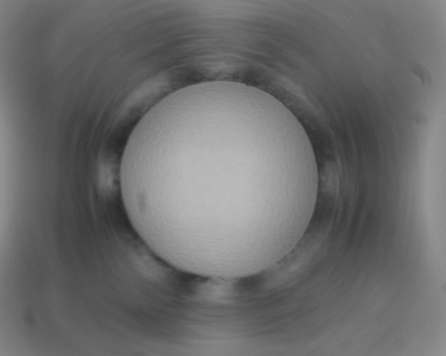 X0000113950138200910091616